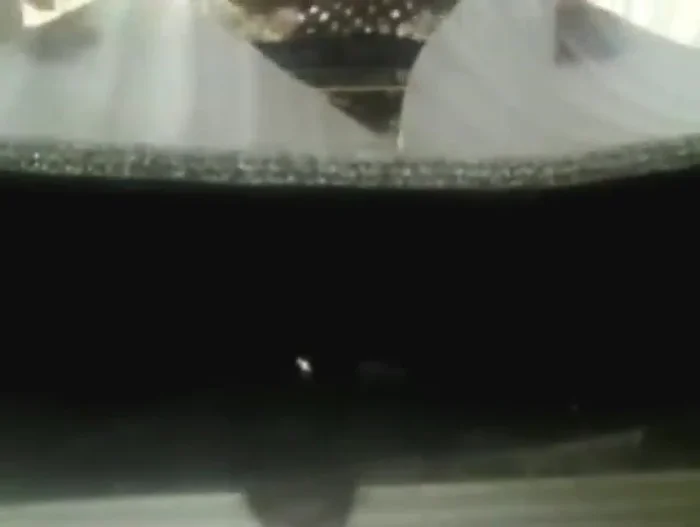 Unir las partes delanteras, dejando un espacio de 5 cm para la entrada.