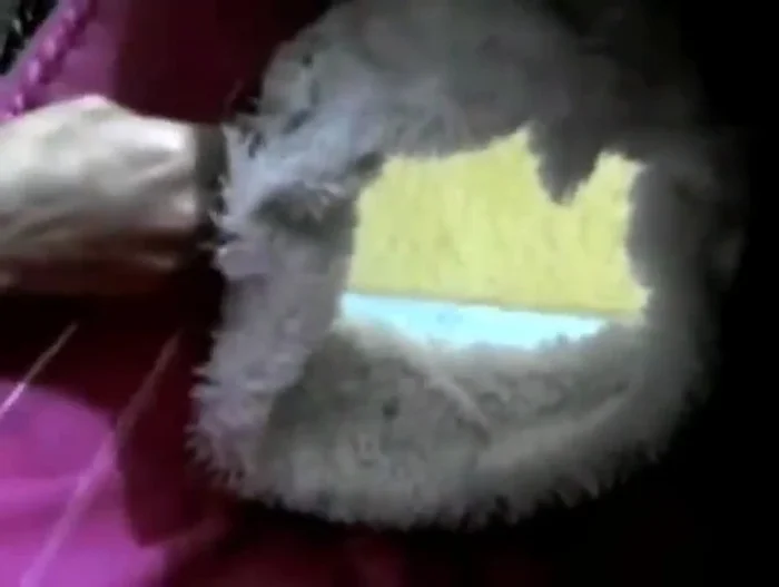 Decorar la entrada con tela peluche, uniéndola con hilo por dentro y por fuera.