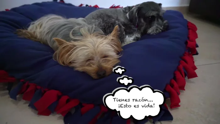 Distribuir el relleno para que quede cómodo.