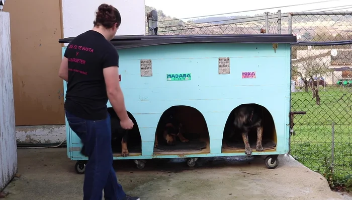 Preparación de materiales: Reúne las 10 tablas, el andamio (o tablas para la estructura), ruedas para la base, bisagras, piezas metálicas para uniones, pestillos para las puertas y tapas, raíles y bandas de aluminio para las separaciones.