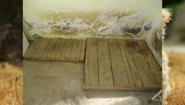 Desarmar los palets: Retirar los clavos y separar las maderas gruesas de las delgadas.