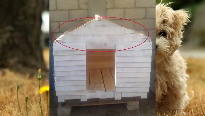 Cubrir el techo: Fijar las tablas del techo al travesaño superior y los costados con clavos o tornillos.