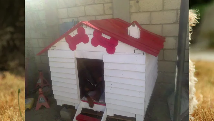 Pintar la casa: Aplicar una mano de pintura para proteger la madera de la intemperie.