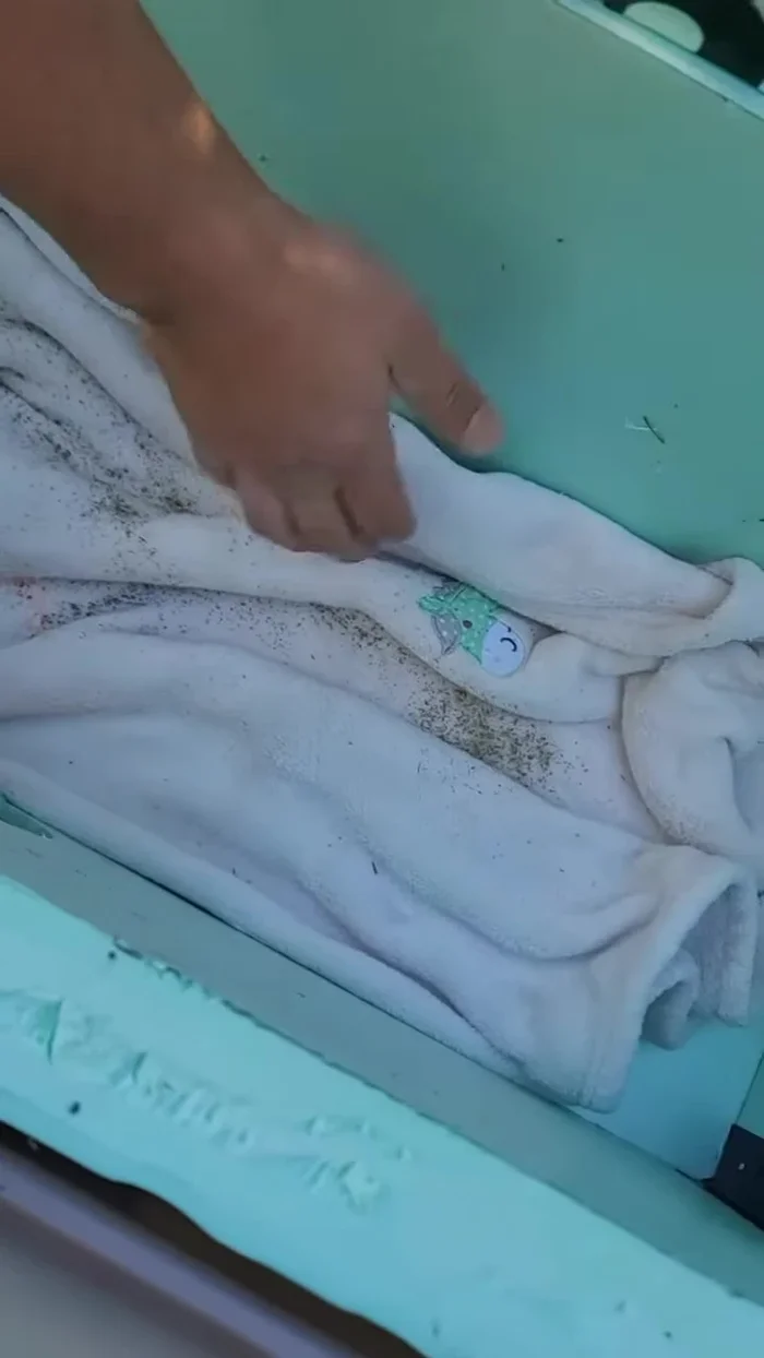 Colocar una mantita suave y catnip (opcional) dentro de la casita para que los gatos se sientan cómodos.