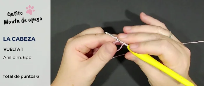 Tejer 6 puntos bajos dentro del anillo mágico (vuelta 1).