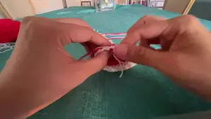 Gorrito Navideño para Gatos: Tutorial Fácil y Rápido