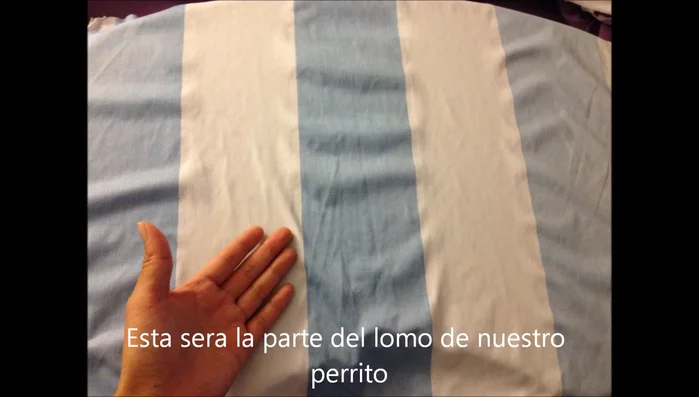 Doblar la tela por la mitad y cortar sobre las líneas marcadas. Asegurarse que la franja azul quede en el lomo del perrito.
