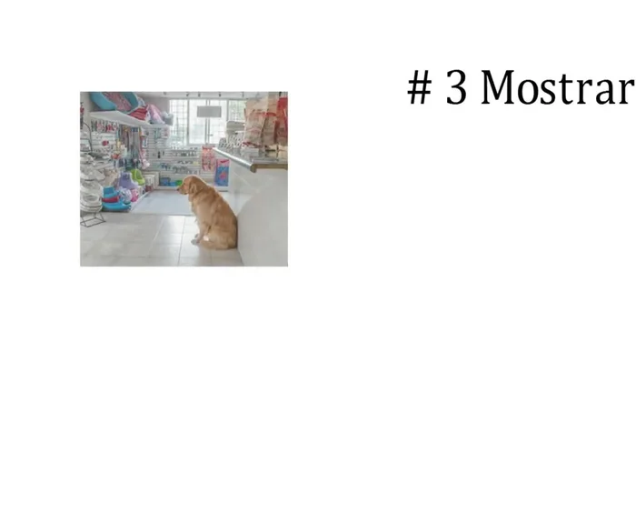 Publicidad y Alcance: Anuncia tu línea de ropa en línea y en publicaciones impresas (considera publicidad en publicaciones ecologistas si usas materiales orgánicos).