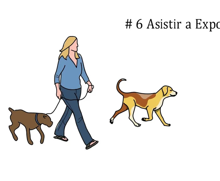 Publicidad y Alcance: Anuncia tu línea de ropa en línea y en publicaciones impresas (considera publicidad en publicaciones ecologistas si usas materiales orgánicos).