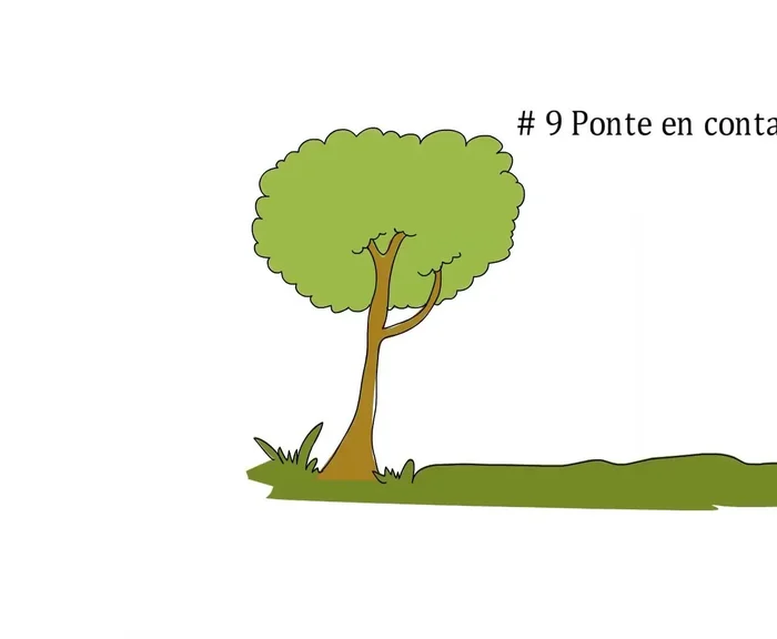 Colaboraciones Benéficas: Contacta con refugios y grupos de rescate de animales para organizar desfiles de moda y recaudar fondos. Esto te dará publicidad positiva y ayudará a una buena causa.