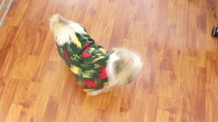 Preparación del molde: Utiliza el molde del vídeo anterior (ver enlace al video). Recorta las piezas: manga raglán, parte delantera, capucha (dos veces en polar y dos veces en tela de punto), y ribete para los puños.