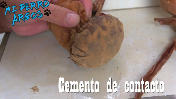 Reparación de Grietas: Pegar las partes rotas del zapato con cemento de contacto. Aplicar en ambas superficies, dejar secar unos minutos y unir.