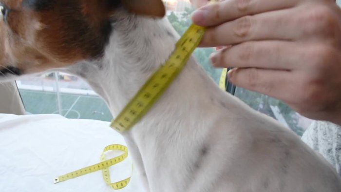 Cortar la tela siguiendo las líneas marcadas.