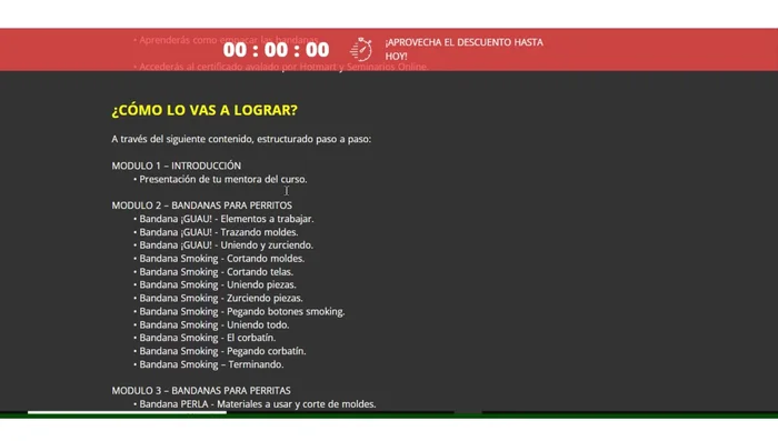 Introducción al curso y presentación de la mentora.