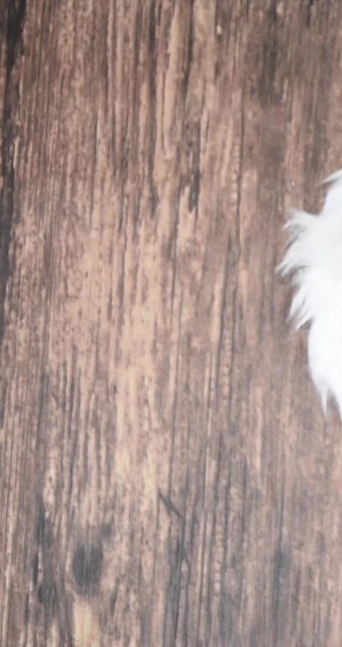 Corta dos tiras de elástico y pégalas por dentro del gorro, considerando la separación entre orejas.