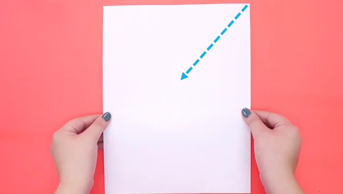 Crea la plantilla: Dobla una hoja de papel o cartulina. La longitud debe ser la mitad del contorno del cuello de tu perro (mide con una cinta métrica). Recorta el sobrante.