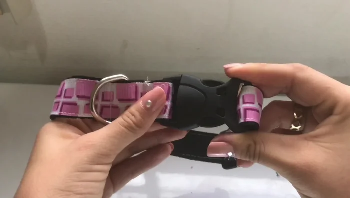 Ajustar la correa para que quede cómoda y segura en la mascota.