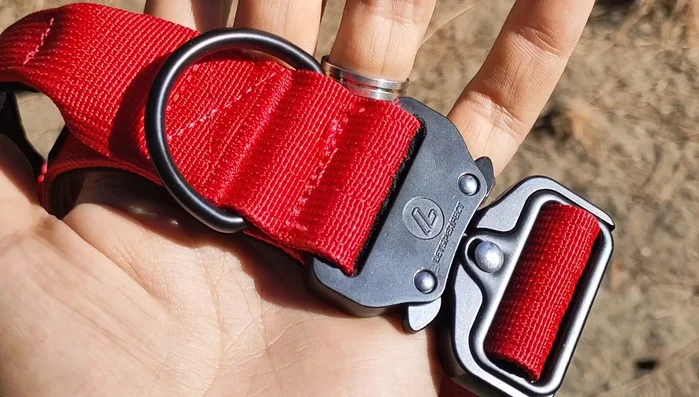 Descripción del cierre: espectacular y seguro.