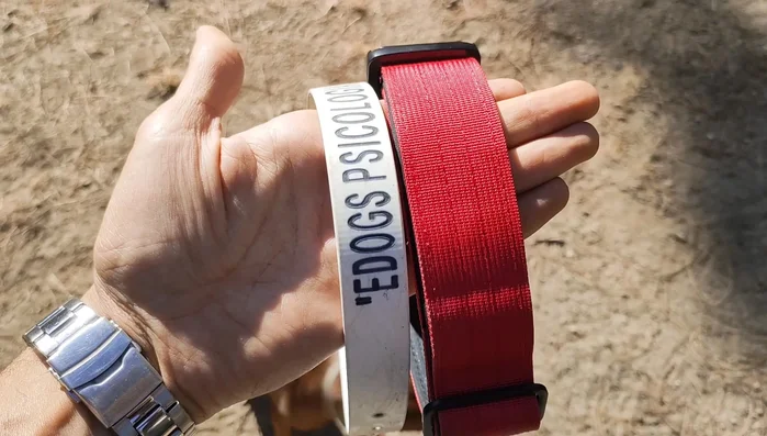 Cinta ancha para mejor sujeción del cuello del perro.