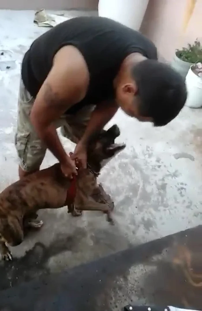 Medir y marcar los agujeros en este segundo tramo de la banda, y perforarlos. Asegurar con remaches.