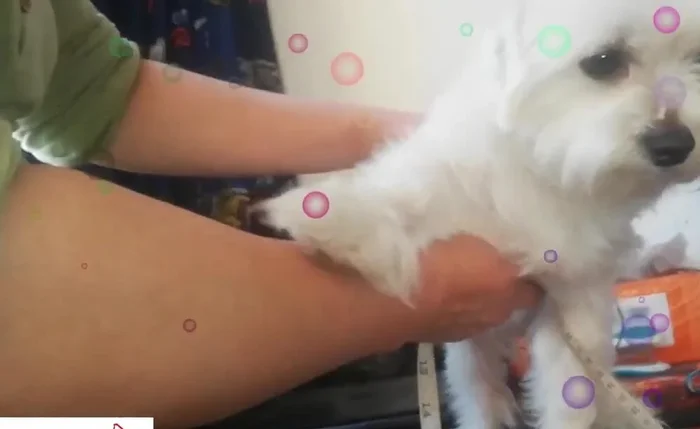 Graficar las medidas: Utilizar las medidas tomadas para crear un patrón sencillo de la prenda.