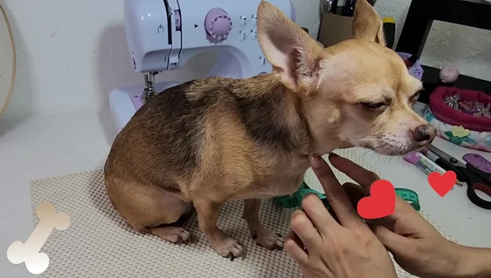 Caída del hombro (se calcula a partir del contorno del cuello):