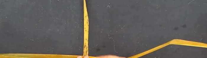 Tejer los lados: Añade las tiras restantes, tejiendo en un patrón de tablero de ajedrez simple. Trabaja de izquierda a derecha para mantener la tensión uniforme. Si te quedas sin tiras, ajusta la longitud acortando la altura de la cesta.