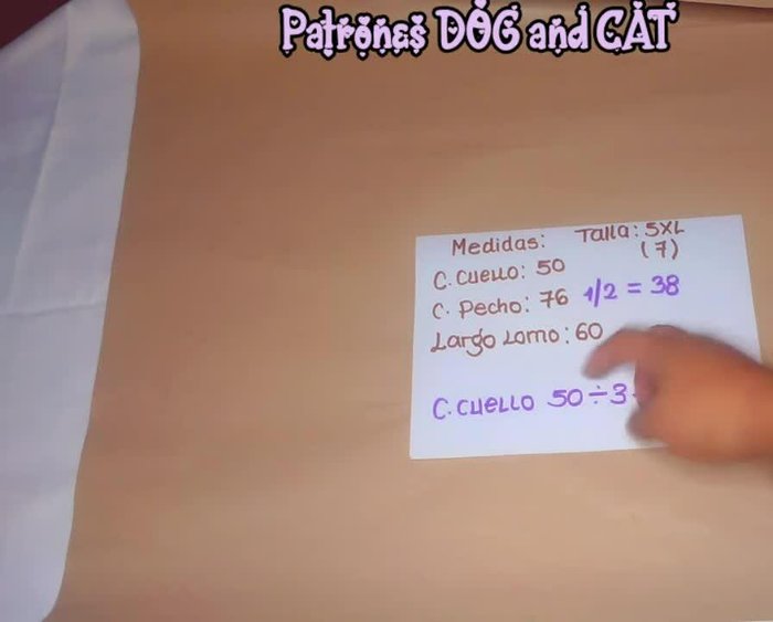 Obtener medidas: Contorno cuello (50cm), contorno pecho (76cm), largo lomo (60cm).