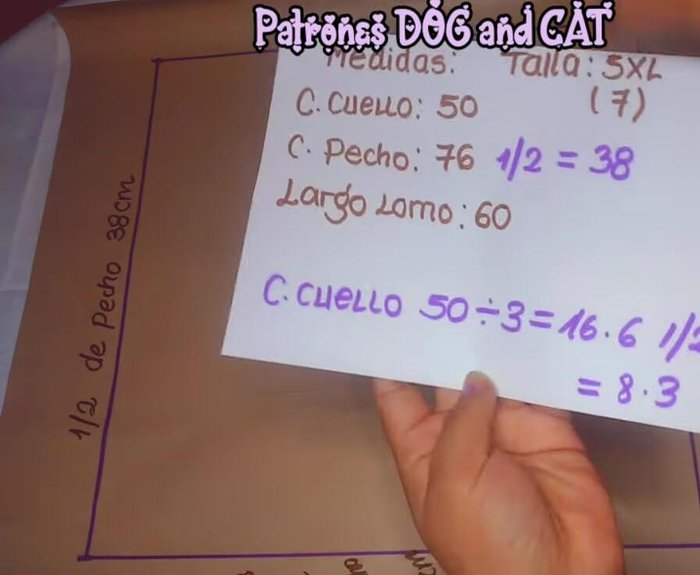 Bajar la medida en la parte delantera 2cm y en la espalda 1.5cm. Utilizar la regla curva para unir los puntos y formar el cuello.