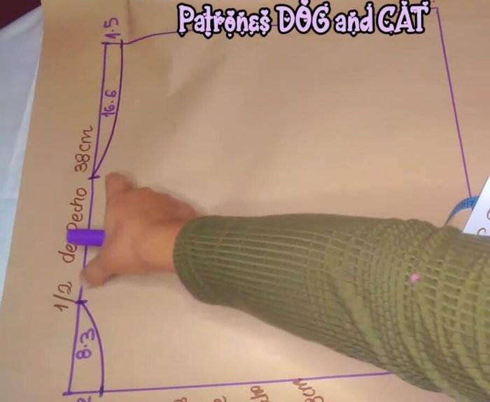 Prolongar la línea del medio hasta la parte inferior y marcar el punto medio para realizar la curva de la espalda.