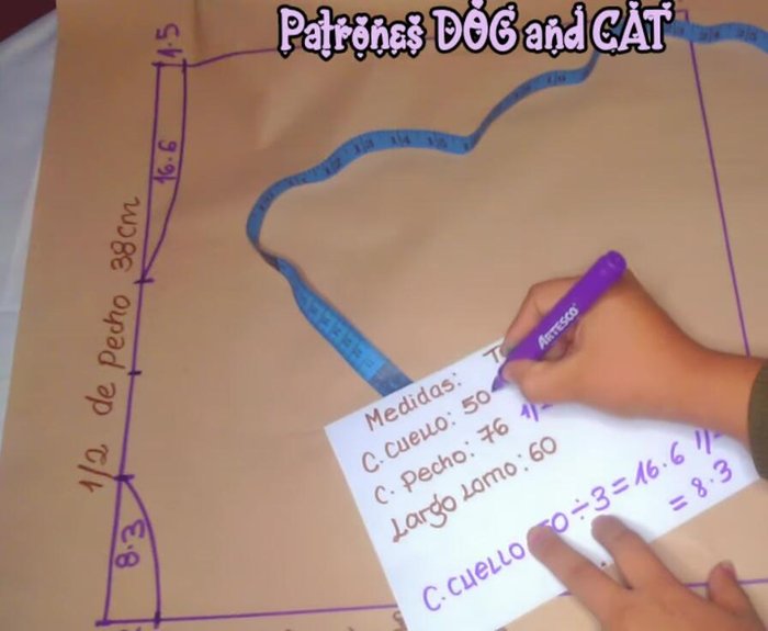Prolongar la línea del medio hasta la parte inferior y marcar el punto medio para realizar la curva de la espalda.