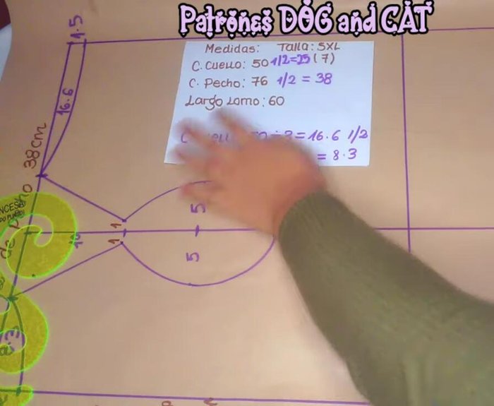 Prolongar la línea del medio hasta la parte inferior y marcar el punto medio para realizar la curva de la espalda.