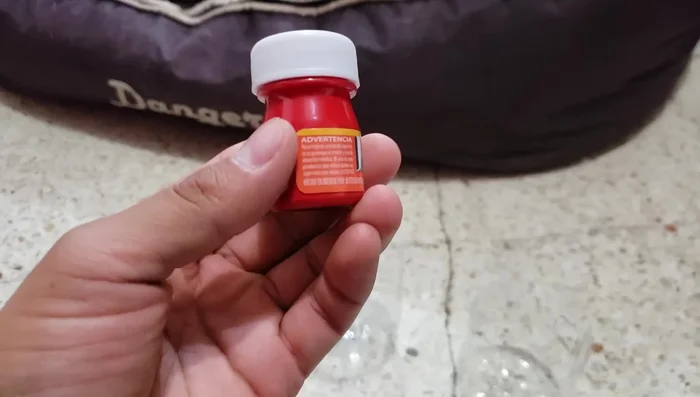 Decorar (opcional): Si lo deseas, pinta las piezas con pintura acrílica no tóxica. Recuerda pintar el interior de las piezas para que sea seguro para tu perro.