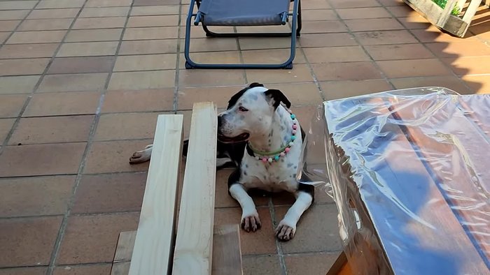 Preparación de la madera: Lijar para quitar poros grandes.