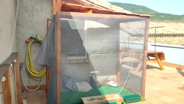 Colocación del tejado.