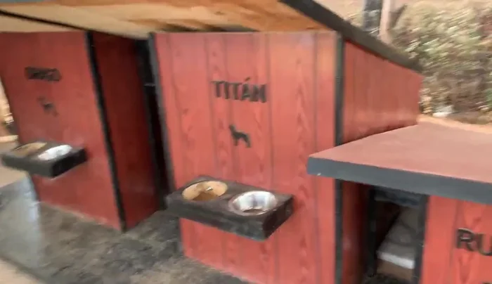 Acabado estético: Pegar triplay decorado sobre las paredes para un acabado atractivo. (El video muestra el uso de siluetas de perros).