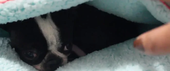 Cerrar el espacio abierto cosiendo a mano.