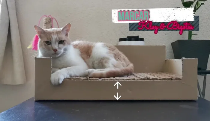 Cortar la caja: Unir los puntos marcados y cortar con cuidado usando una regla y un cúter para obtener cortes rectos. (Precaución: Supervisión de adultos para menores de 12 años)