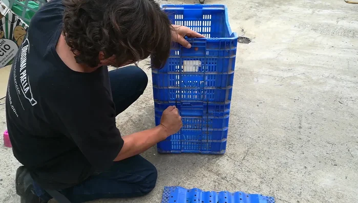 Añadir comodidad: Colocar cojines o materiales suaves en el interior de las cajas para proporcionar una superficie cómoda para los gatos.