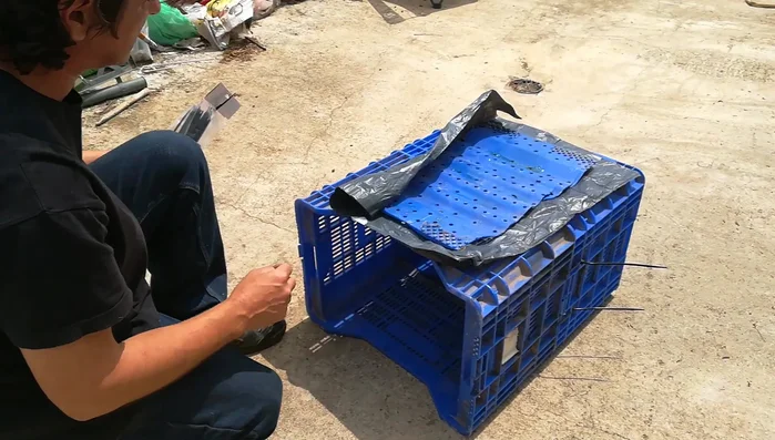 Finalización: Asegurarse de que las cajas estén completamente protegidas de los elementos antes de colocar a los gatos y sus crías.