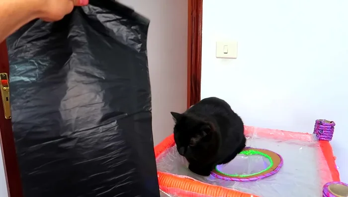 Cubrir la casa con bolsas de basura para impermeabilizarla.