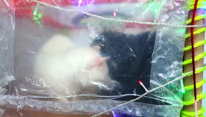 Construir una segunda planta con más planchas de poliestireno, cubiertas con bolsas de basura y cinta adhesiva.