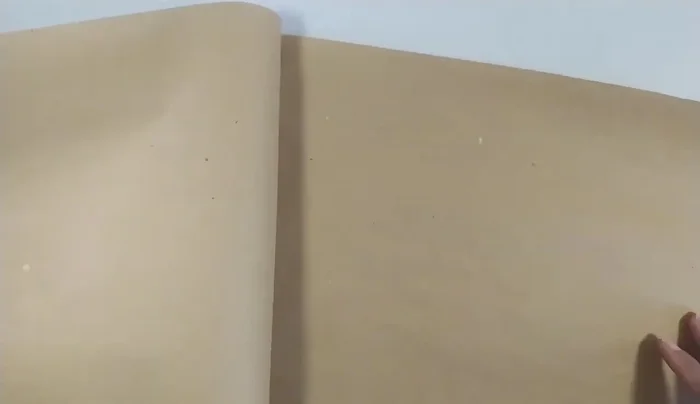 Dibujar la forma de la cola uniendo los puntos marcados con curvas pronunciadas hacia afuera, terminando suavemente en los 5cm marcados. Usar lápiz para poder corregir.