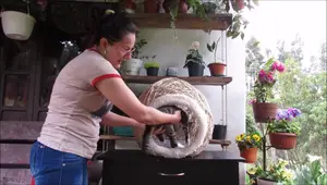 Crea Nidos para Mascotas ¡Fácil y Rentable!