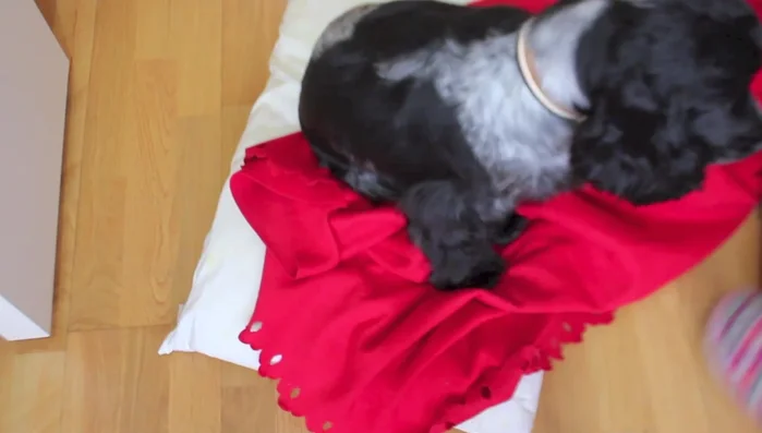 Colocar el almohadón en el centro de la manta.