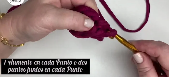 Cerrar la vuelta con un punto deslizado y levantar una cadeneta al aire.