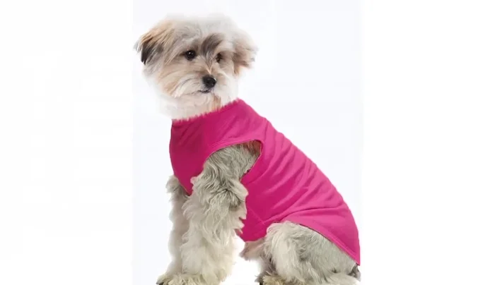 Opta por materiales suaves y de buena calidad para la comodidad de tu mascota.