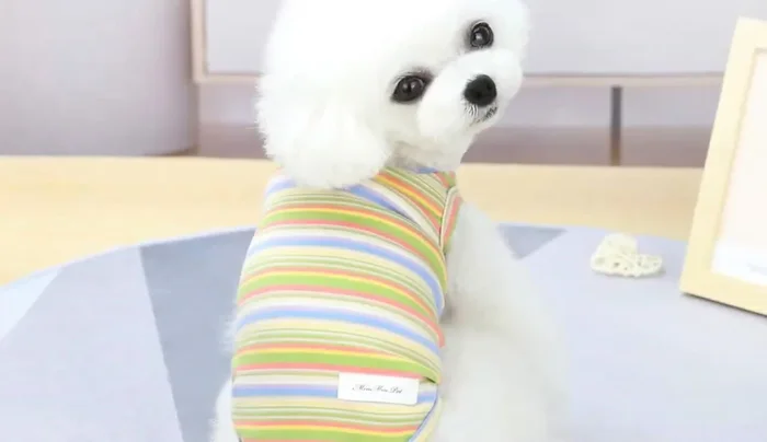 Verifica las reseñas de otros compradores antes de realizar la compra.