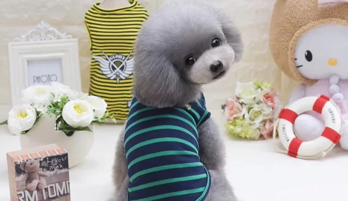 Opta por materiales suaves y de buena calidad para la comodidad de tu mascota.