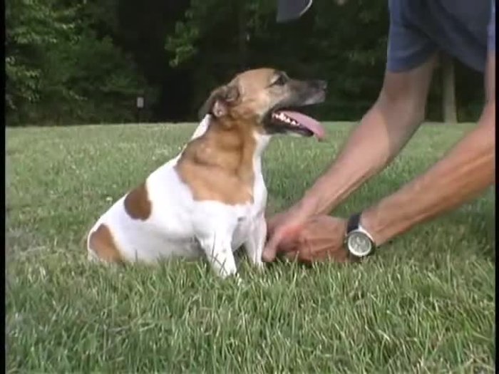 Material ecológico: hechas de caucho natural 100% biodegradable.